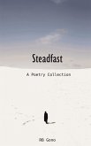 Steadfast Steadfast