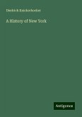 A History of New York