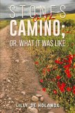 Stones on the Camino; or, What It Was Like Stones on the Camino; or, What It Was Like