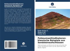 Cover Paläoumweltindikatoren: klassische Beispiele aus Sandsteinaufschlüssen