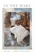 In the Wake - Bild 1