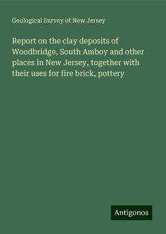 Report on the clay deposits of Woodbridge, South Amboy and other places in New Jersey, together with their uses for fire brick, pottery - Jersey, Geological Survey of New