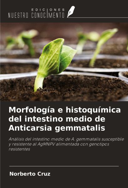 Morfología e histoquímica del intestino medio de Anticarsia gemmatalis