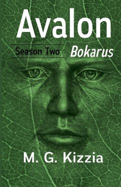 Cover Avalon, Season Two