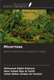 Micorrizas