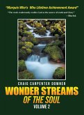 Wonder Streams Of The Soul Wonder Streams Of The Soul