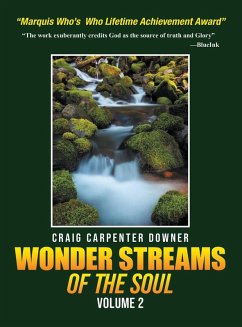Cover Wonder Streams Of The Soul