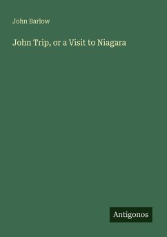 Cover John Trip, or a Visit to Niagara