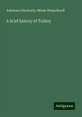 A brief history of Turkey