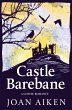 Castle Barebane - Bild 1