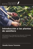 Introducción a las plantas de semillero Introducción a las plantas de semillero