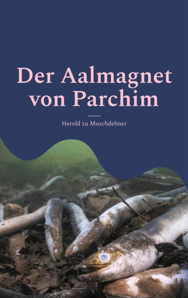 Der Aalmagnet von Parchim Der Aalmagnet von Parchim