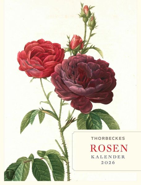 Thorbeckes Rosen-Kalender 2026 Thorbeckes Rosen-Kalender 2026