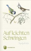 Auf leichten Schwingen Auf leichten Schwingen