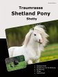 Traumrasse Shetland Pony - Bild 1