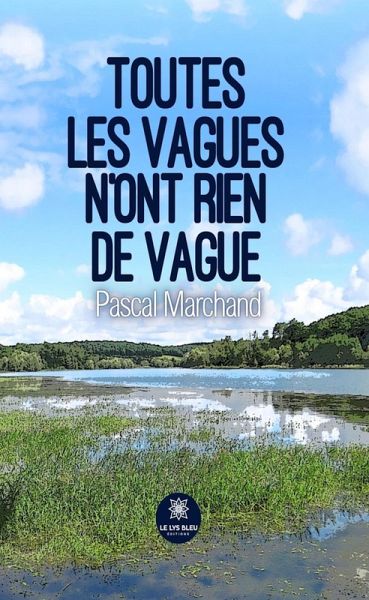 Toutes les vagues n'ont rien de vague (eBook, ePUB)