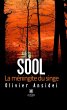 Sool (eBook, ePUB) - Bild 1