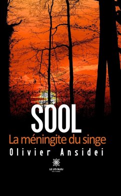 Cover Sool (eBook, ePUB)