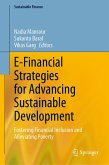 E-Financial Strategies for Advancing Sustainable Development (eBook, PDF)