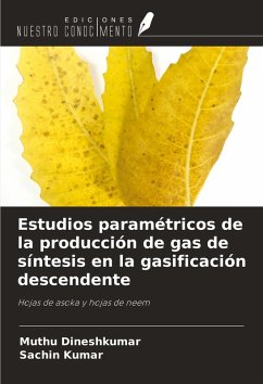 Estudios paramétricos de la producción de gas de síntesis en la gasificación descendente - Dineshkumar, Muthu; Kumar, Sachin