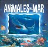 Animales del Mar - Bild 1
