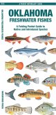Oklahoma Freshwater Fishes Oklahoma Freshwater Fishes