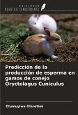 Predicción de la producción de esperma en gamos de conejo Oryctolagus Cuniculus