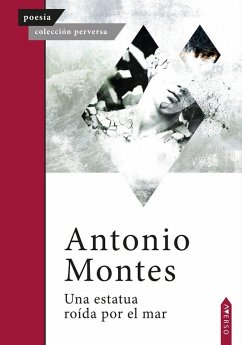 Cover Una estatua roída por el mar