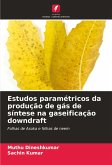 Estudos paramétricos da produção de gás de síntese na gaseificação downdraft