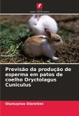 Previsão da produção de esperma em patos de coelho Oryctolagus Cuniculus