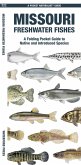 Missouri Freshwater Fishes Missouri Freshwater Fishes