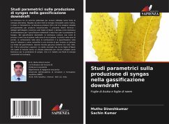 Studi parametrici sulla produzione di syngas nella gassificazione downdraft - Dineshkumar, Muthu;Kumar, Sachin