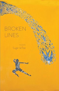 Cover Broken Lines