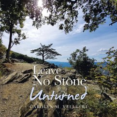 Cover Leave No Stone Unturned
