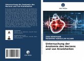 Untersuchung der Anatomie des Herzens und von Krankheiten Untersuchung der Anatomie des Herzens und von Krankheiten