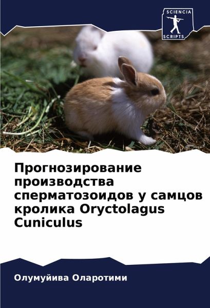 Prognozirowanie proizwodstwa spermatozoidow u samcow krolika Oryctolagus Cuniculus Prognozirowanie proizwodstwa spermatozoidow u samcow krolika Oryctolagus Cuniculus