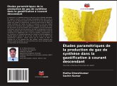 Études paramétriques de la production de gaz de synthèse dans la gazéification à courant descendant
