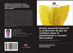 Cover Études paramétriques de la production de gaz de synthèse dans la gazéification à courant descendant