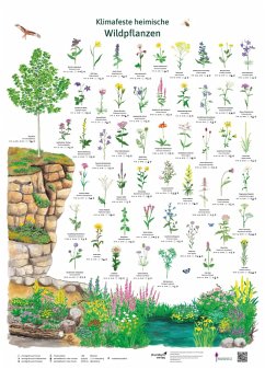 Klimafeste heimische Wildpflanzen - Krüger, Dirk;Schönhoff, Doris