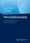 Wirtschaftskriminalität (eBook, PDF)