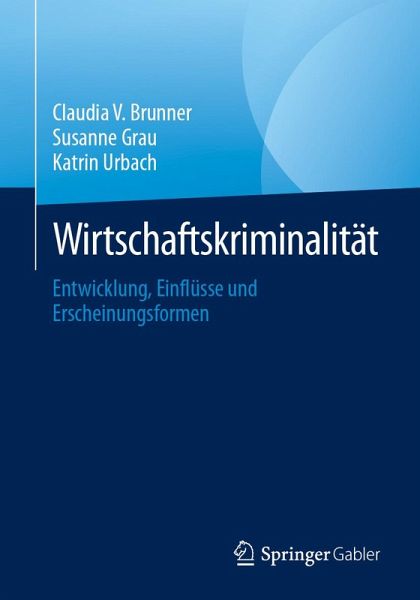Wirtschaftskriminalität (eBook, PDF)