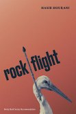 rock flight (eBook, ePUB)