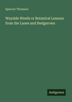 Cover Wayside Weeds or Botanical Lessons from the Lanes and Hedgerows