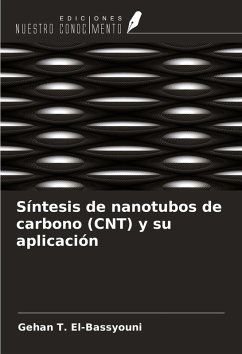 Cover Síntesis de nanotubos de carbono (CNT) y su aplicación