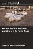 Inseminación artificial porcina en Burkina Faso