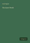 The Insect World