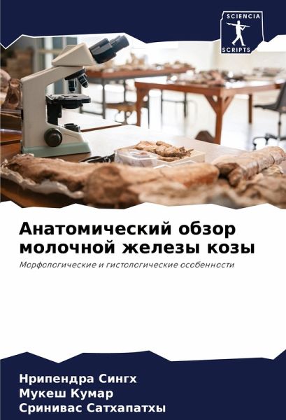 Anatomicheskij obzor molochnoj zhelezy kozy