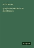 Spray from the Water of the Elisenbrunnen