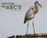 Learning My ABC's - Bild 1