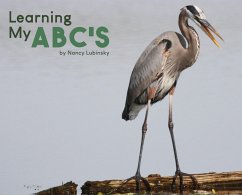 Cover Learning My ABC's